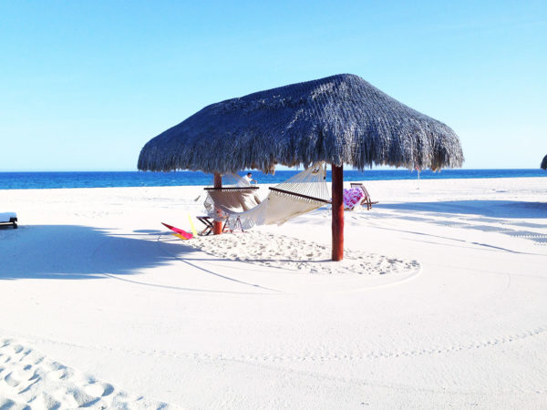 6 Months Business Listing